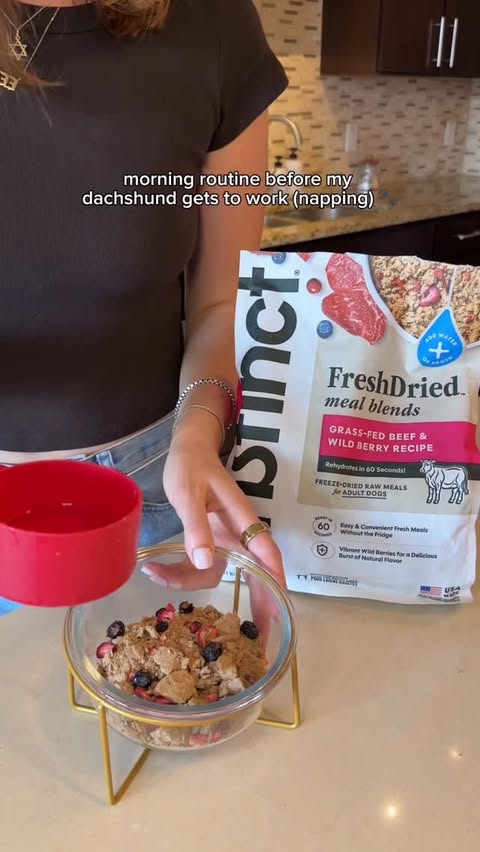 Instagram post by @sprinklestheweenie for Instinct Pet Food. Caption reads: [...] from Stella & Chewy patties to....