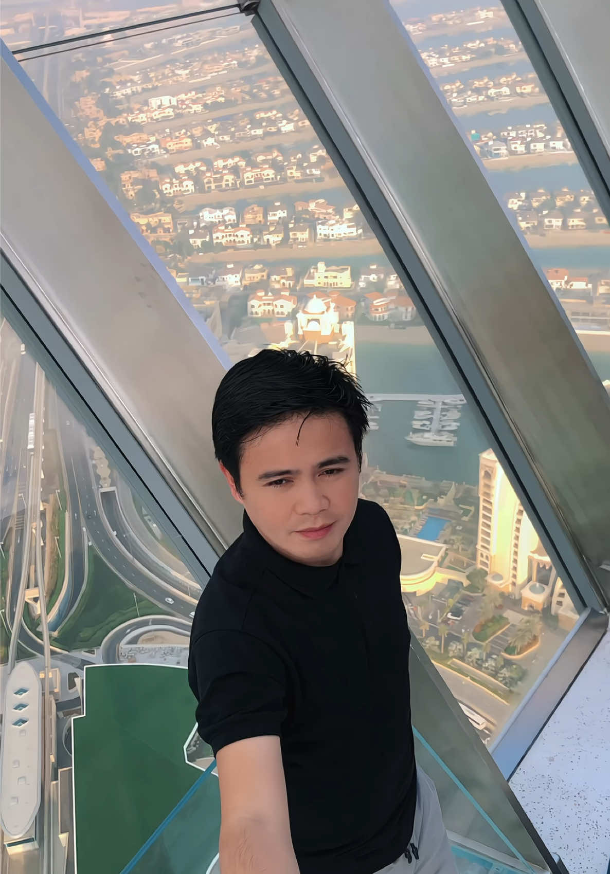 TikTok post by @milodelosreyes for Pakistan Tehreek-e-Insaf. Caption reads: The View at the Palm #viewing deck #trending....