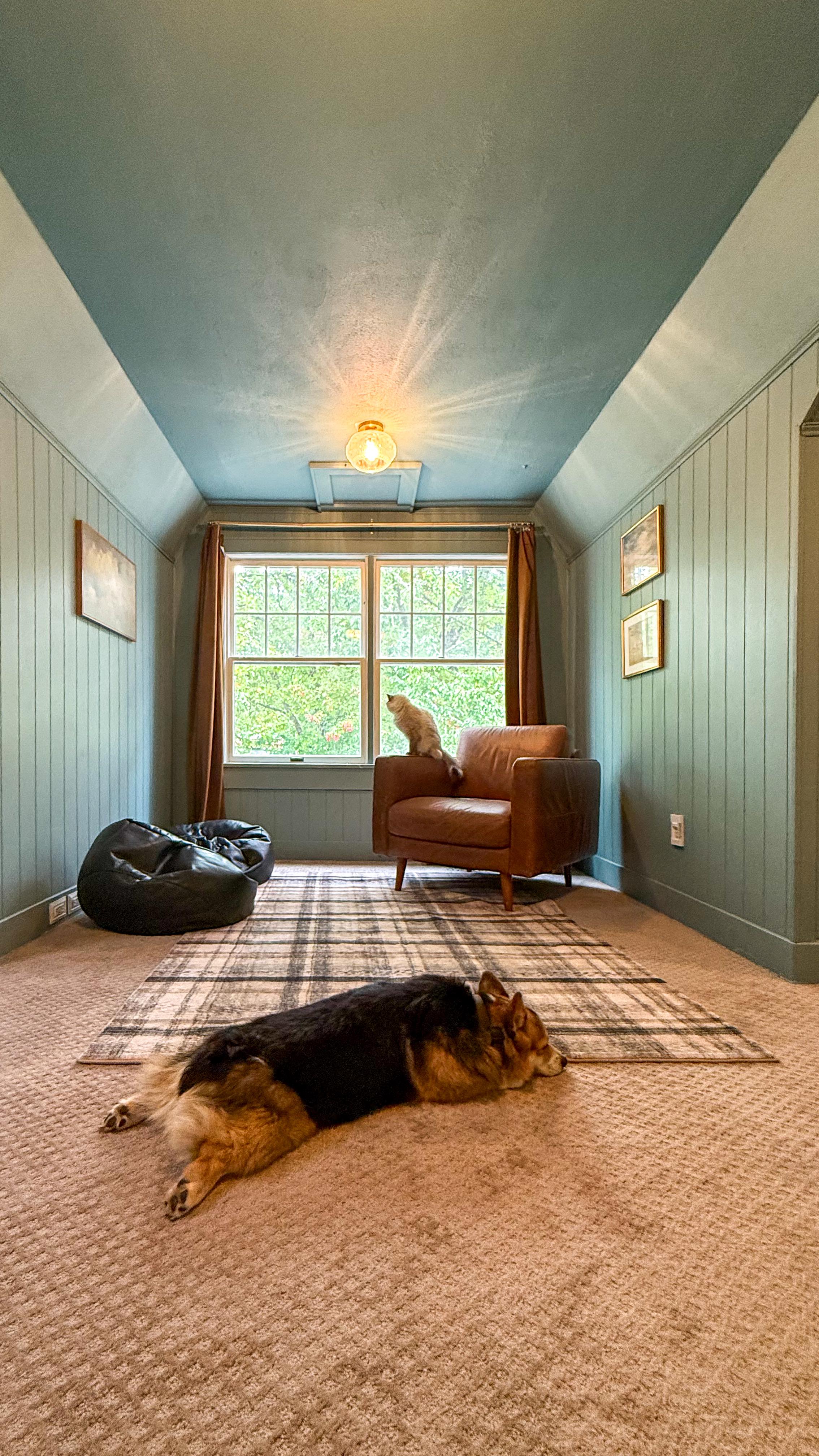 Instagram post by @theaverycottage for The Home Depot. Caption reads: Fresh carpet, fresh start 🐾 

This carpet meant....