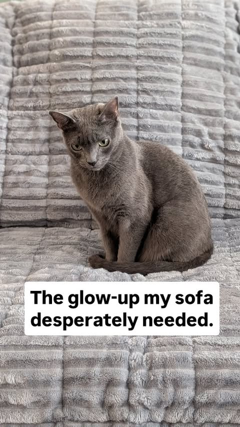 Instagram post by @bilbo_fluffins for FunnyFuzzy. Caption reads: [...] (Ours is light gray) • Thank you....