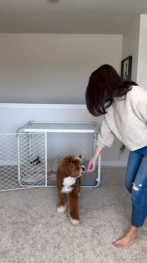 Instagram post by @daphnethedaffadoodle for Diggs. Caption reads: Absolutely loving the design and aesthetic of....