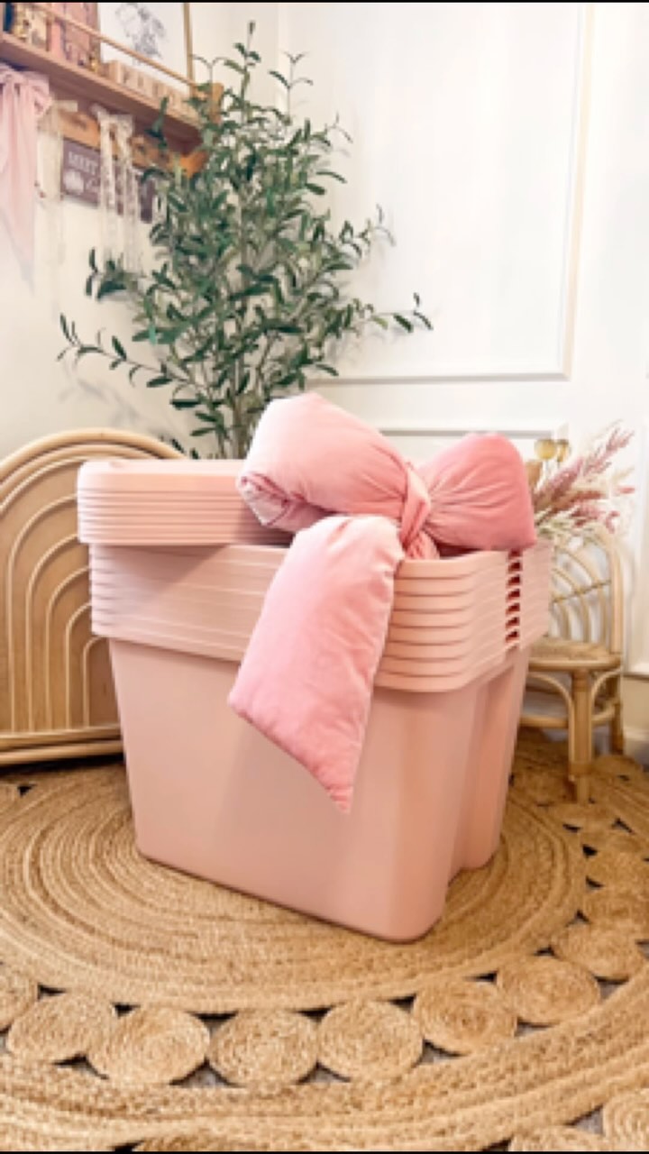 Instagram post by @paloma_eliane for Sterilite Corporation. Caption reads: #Sponsored | Organizing just got a whole lot cuter....