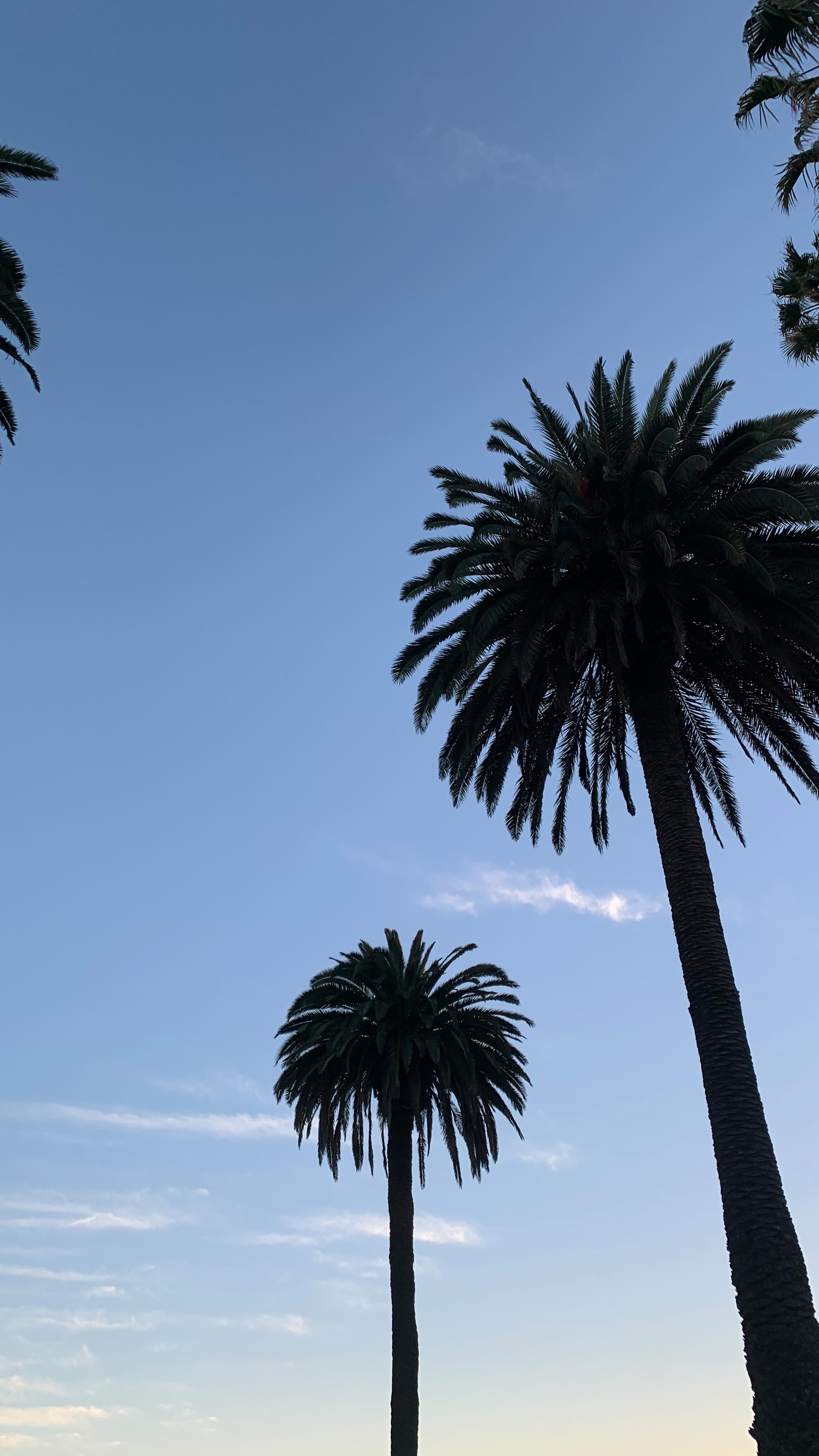 Instagram post by @ken_mcclellan_ for Babe Original. Caption reads: [...] this is it!! The key?? Lash Serum!!!....