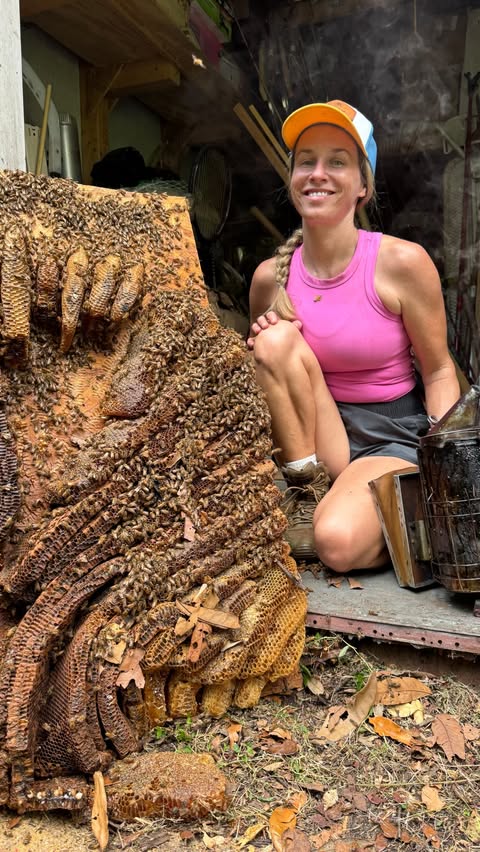 Instagram post by @howsyourdayhoney for Mammotion Tech. Caption reads: After a hot day removing bees, the last thing I....