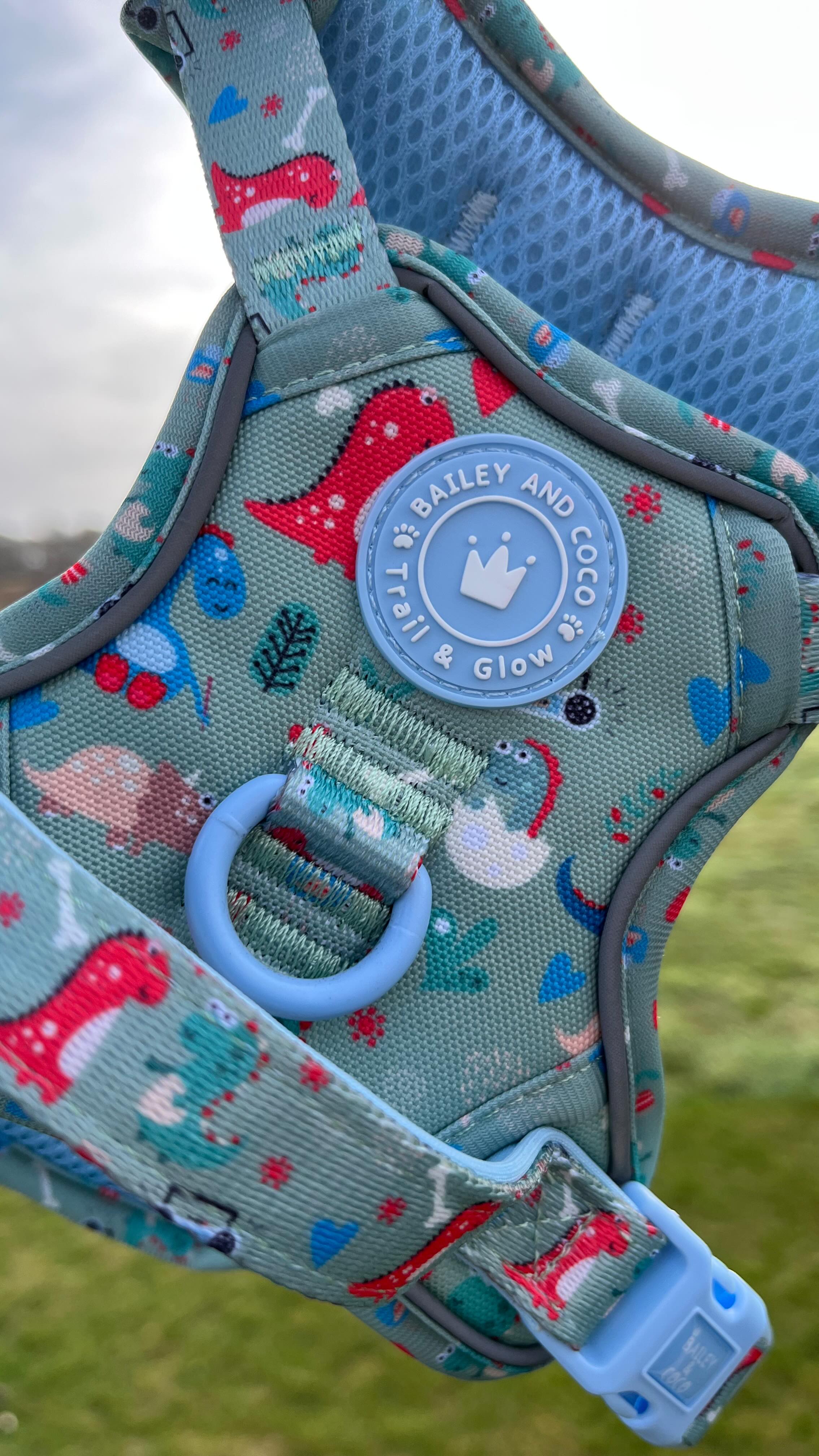 Instagram post by @loki_the_maltichon for Bailey and Coco. Caption reads: [...] that had previously been retired....