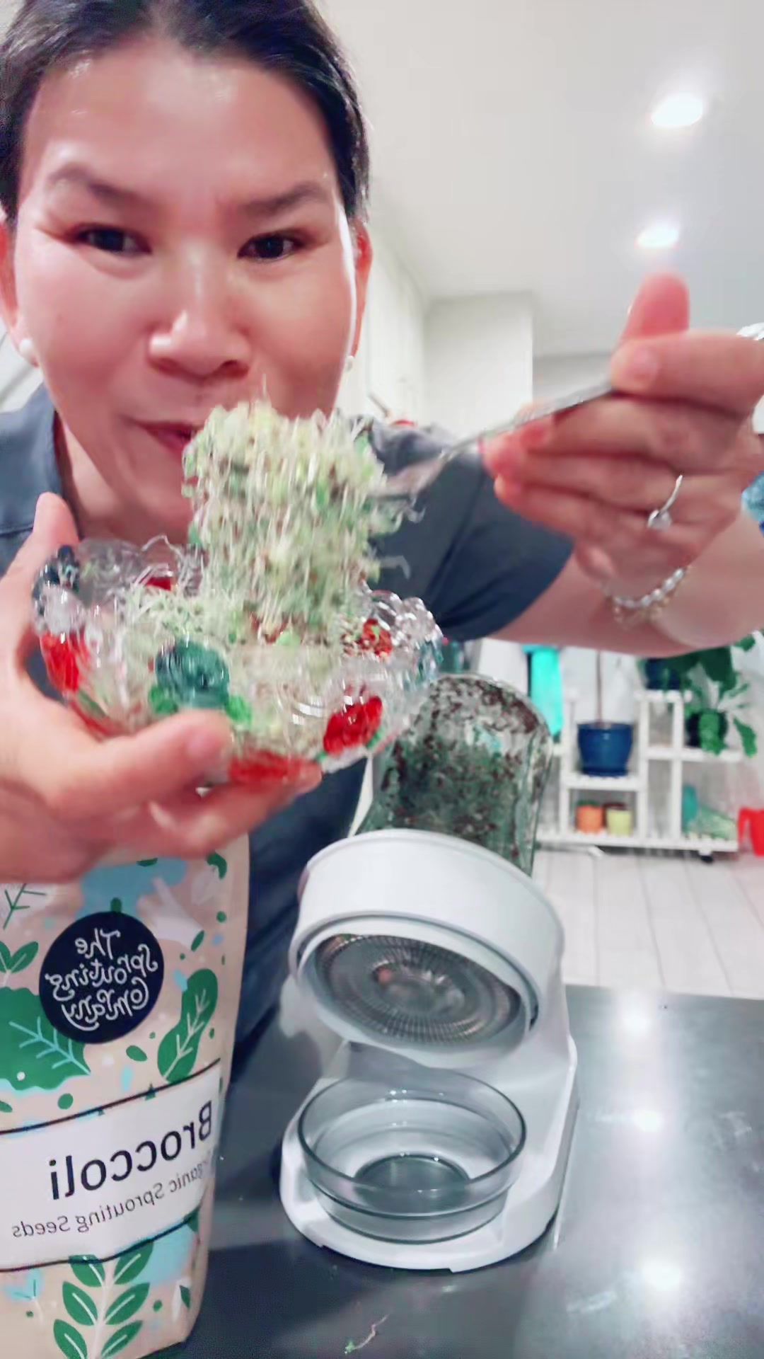 TikTok post by @laxmirana090 for The Sprouting Company. Caption reads: [...] #MicrogreensGrowKitfromTheSproutingCompany....