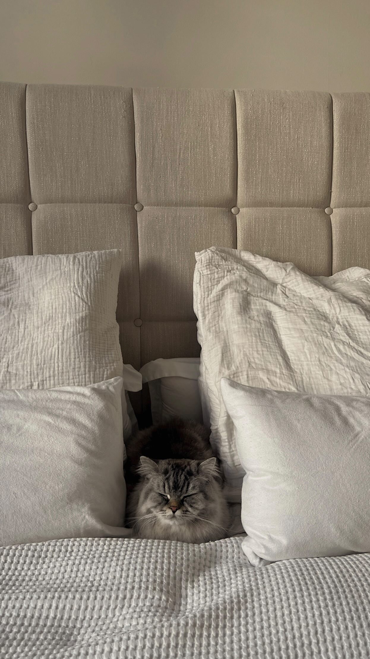 Instagram post by @paulinakurka for Caudalie. Caption reads: Anzeige | Sorry, I’m busy taking care of my skin....