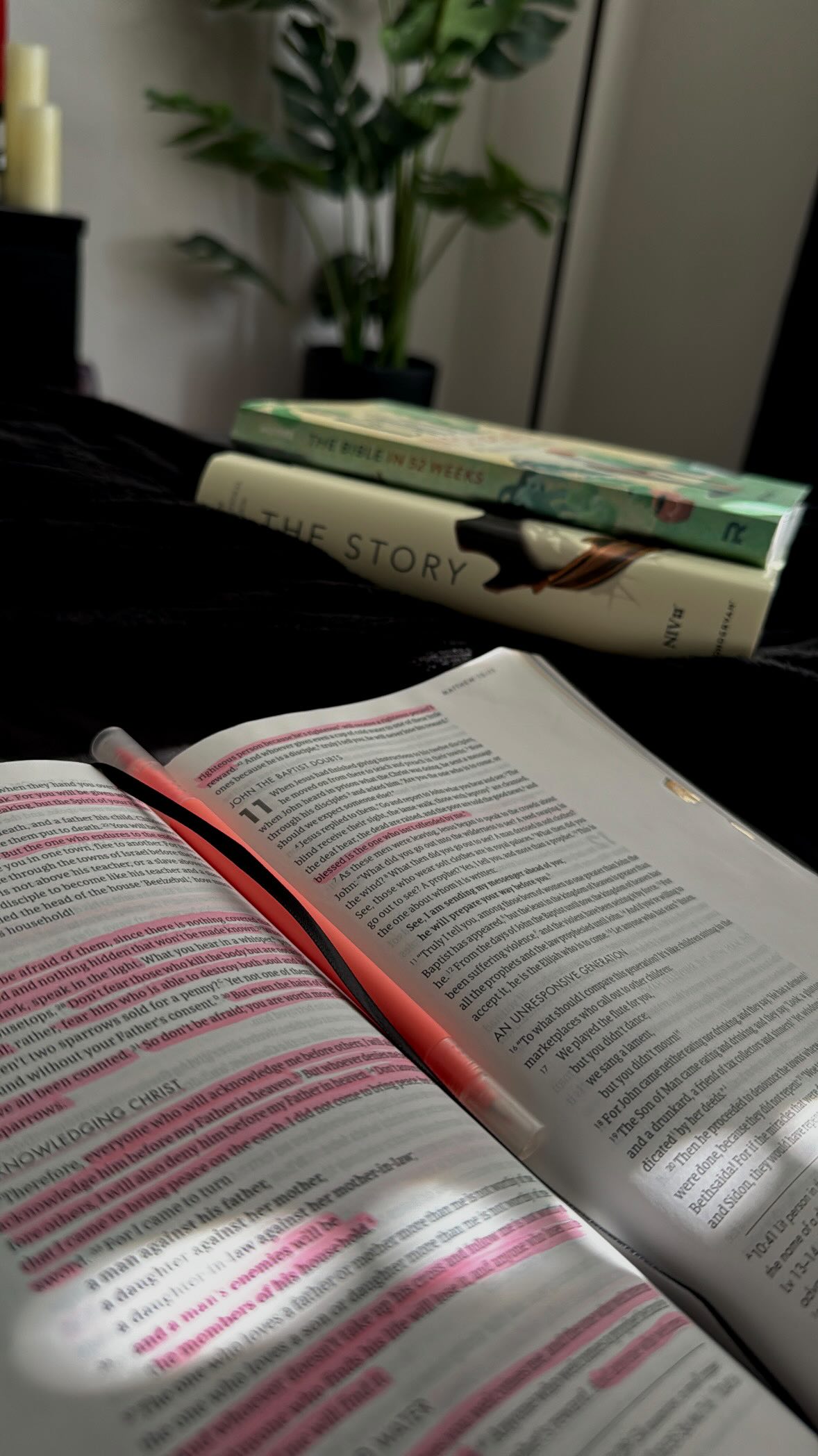 Instagram post by @lexigreenofficial for Camille Rose. Caption reads: my results using @camillerosenaturals on wash day,....