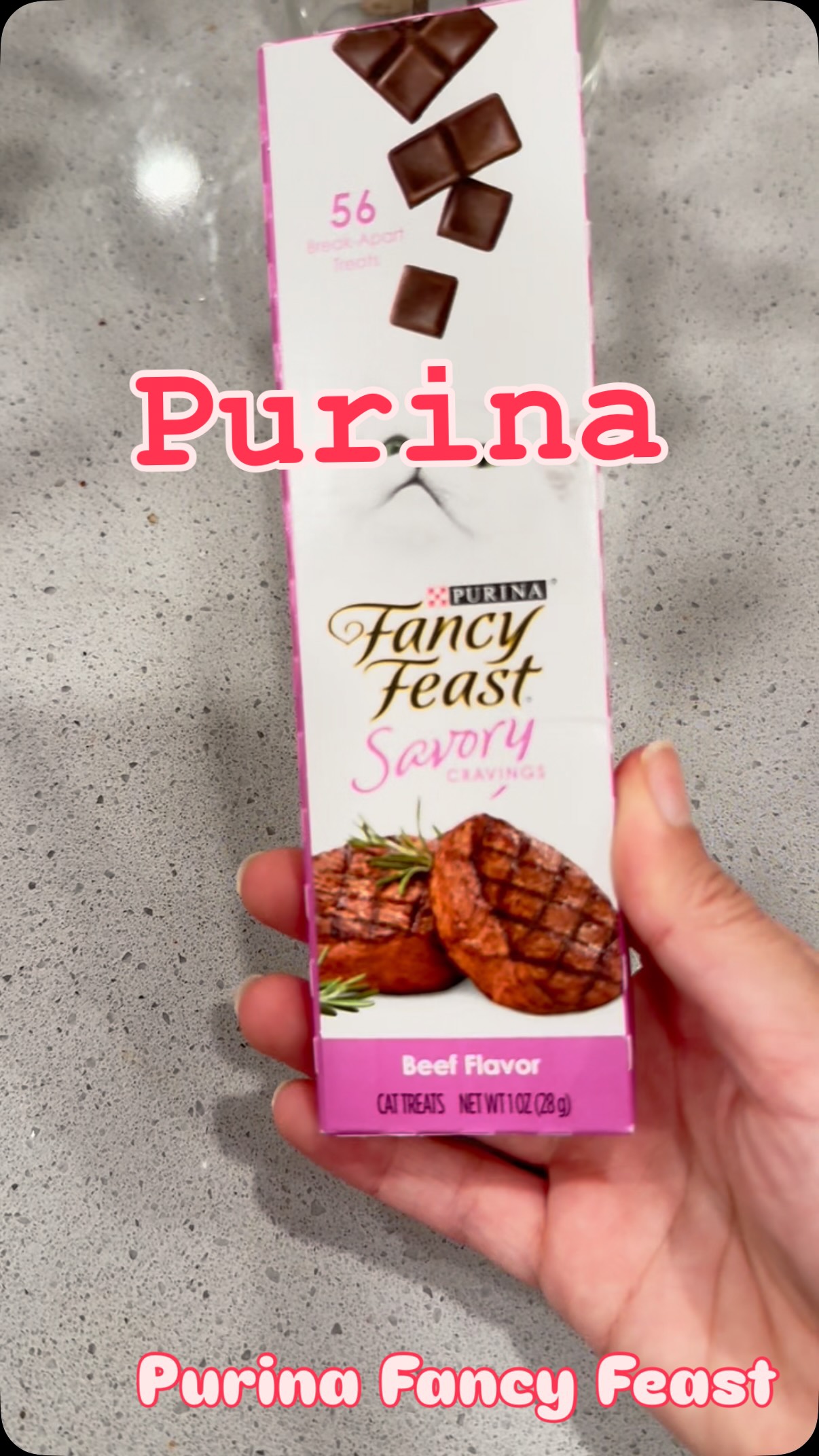 Instagram post by @elifs_space for Purina. Caption reads: My cat is obsessed with these Purina Fancy Feast....