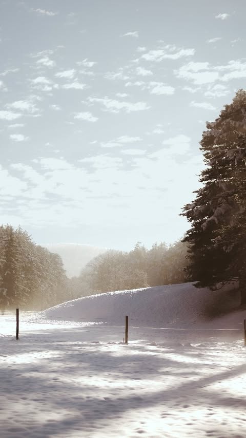 Instagram post by @yokonika for Son de Flor. Caption reads: Hobbit winter outfit, but adjusted for someone who....