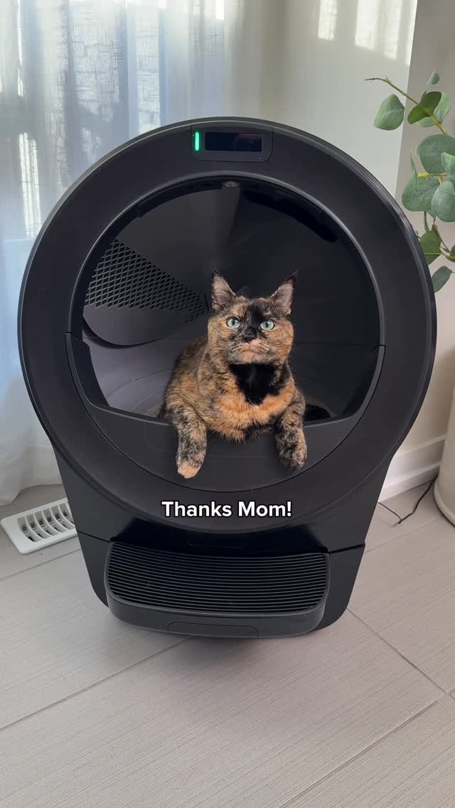 Instagram post by @heyitsgingerandpepper for Litter-Robot. Caption reads: Mom surprised Cinnamon with a fancy new....