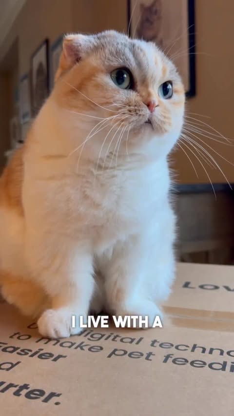 Instagram post by @hello_luna_rose for Hholove. Caption reads: [...] for additional 10% off....