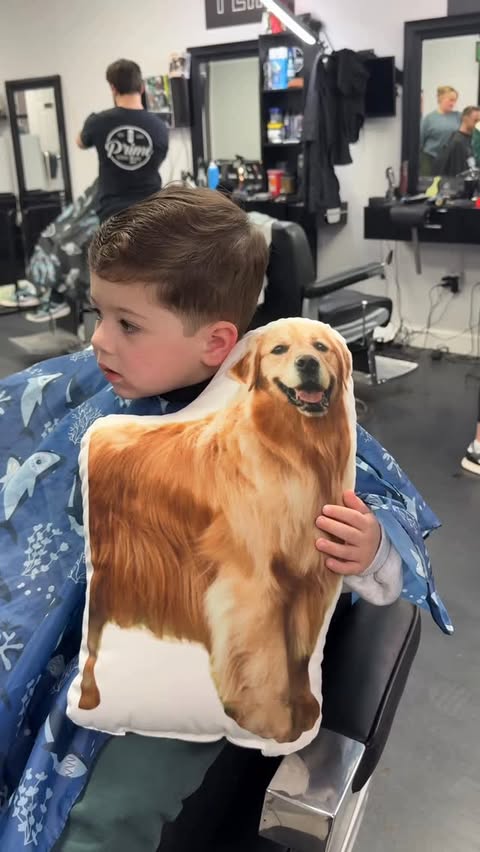 Instagram post by @beaunosebones for Chewy. Caption reads: There’s no place like home.💛

Wherever Beau can....