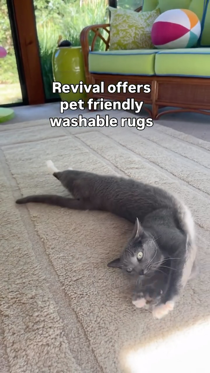 Instagram post by @purrfectinfluencer for Revival. Caption reads: It’s @revival Rugs 8th birthday! We’re celebrating....