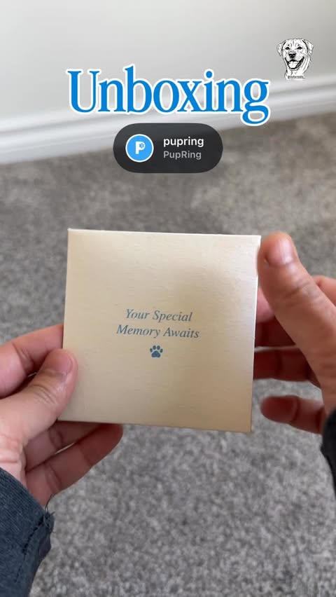 Instagram post by @toofanteddy_ for PupRing. Caption reads: [...] to receive this special gift from @pupring....