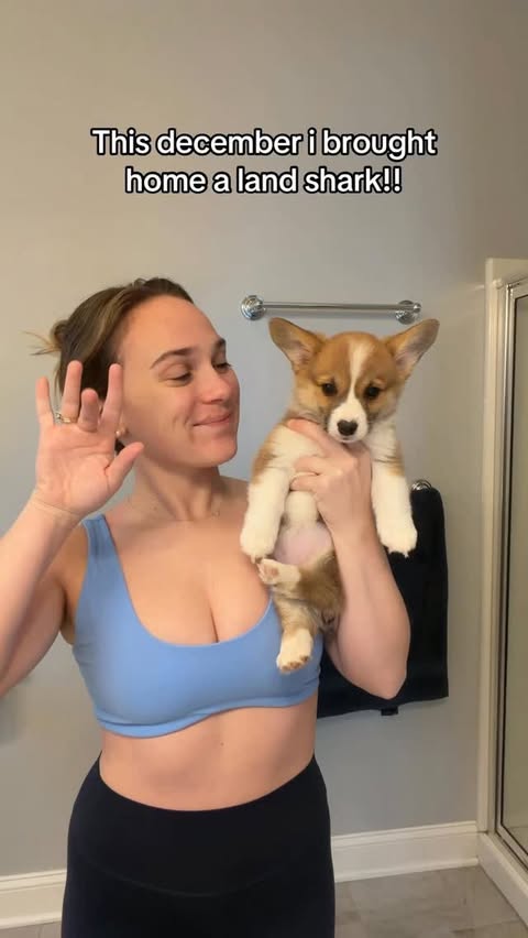 Instagram post by @haley.lives for Skinfix. Caption reads: [...] #vlogmas #dayinthelife 
@chewy @irobot....