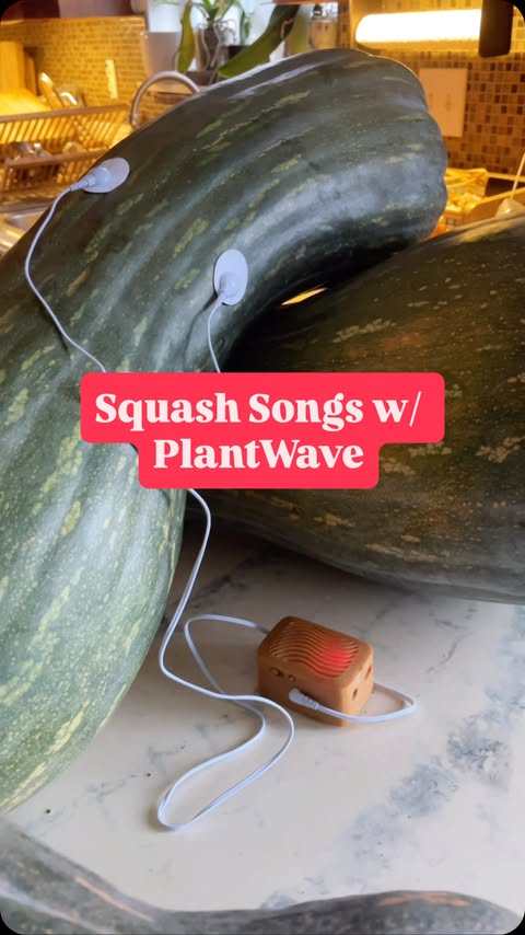 Instagram post by @redleafranch for PlantWave. Caption reads: [...] want to share with us! Thanks to my....