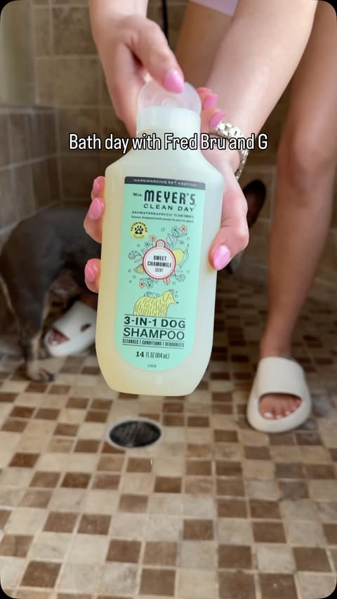 Instagram post by @freddie.and.bruno for Mrs. Meyer's Clean Day. Caption reads: Bath day using @mrsmeyerscleanday 3-IN-1 dog....