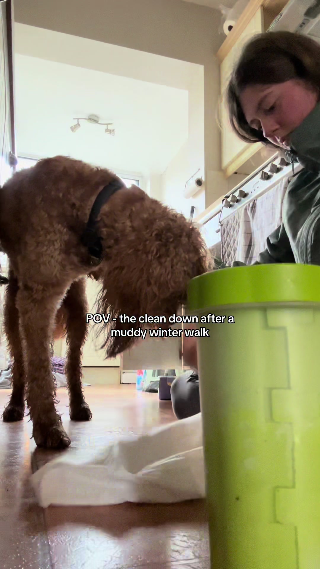 TikTok post by @doodle.arlo for DotDotPet. Caption reads: Using the best @dotdotpet absorbent towels to sort....