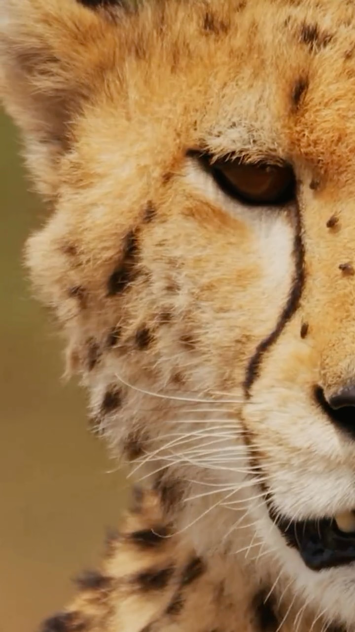 Instagram post by @amirkingkong_lesmills for Reebok Middle East & N.Africa. Caption reads: Unleash unparalleled speed and comfort with the....