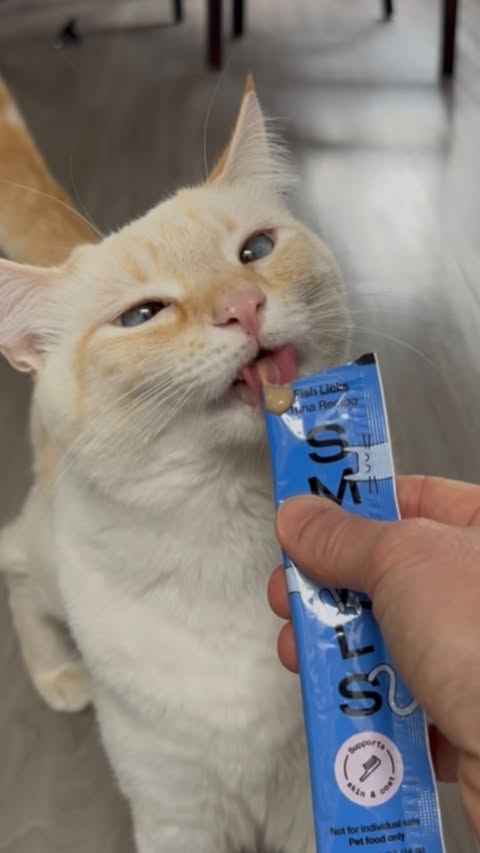 Instagram post by @mochiandcheddar for Smalls. Caption reads: [...] 
Cheddar can sense these Fish Licks by....