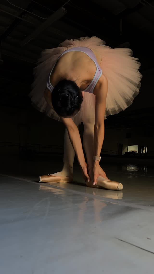 Instagram post by @lifeof.lori for Charlotte’s Web. Caption reads: [...] Nutcracker season with the help of....