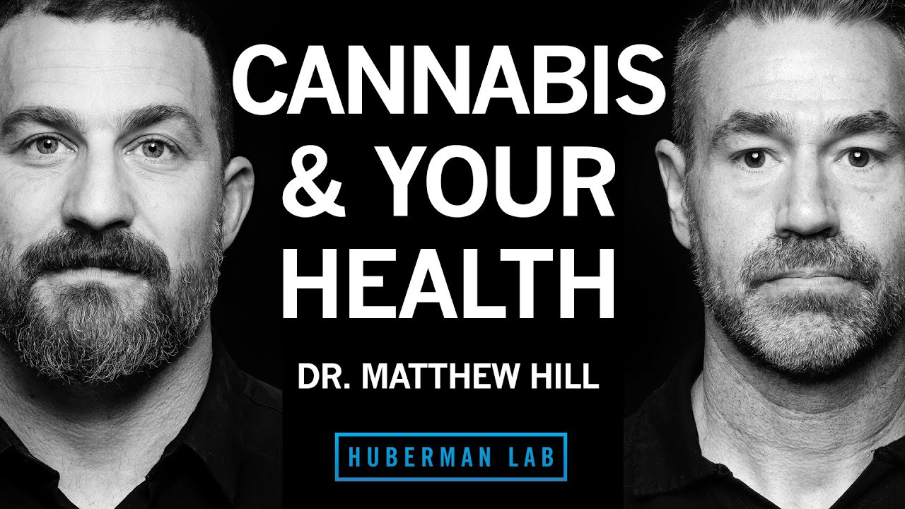 YouTube post by @hubermanlab for InsideTracker. Caption reads: How Cannabis Impacts Health & the Potential Risks....