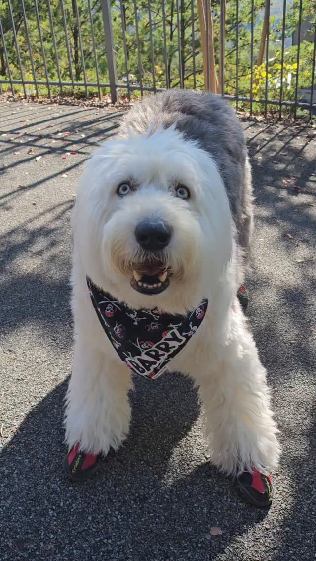 Instagram post by @barryblueeyez for Corny Dog Cloth. Caption reads: [...] Thursday, everyone. Bandana by....