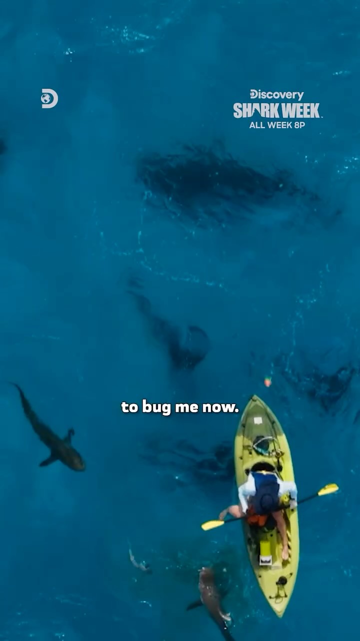 Instagram post by @pauldegelder for Discovery. Caption reads: Shark attack survivor Paul de Gelder dives into....