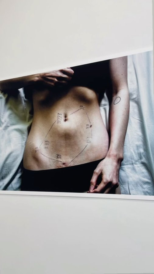 Instagram post by @minalexandra1 for Saatchi Gallery. Caption reads: The Way of All Flesh at Saatchi Gallery : The Way....