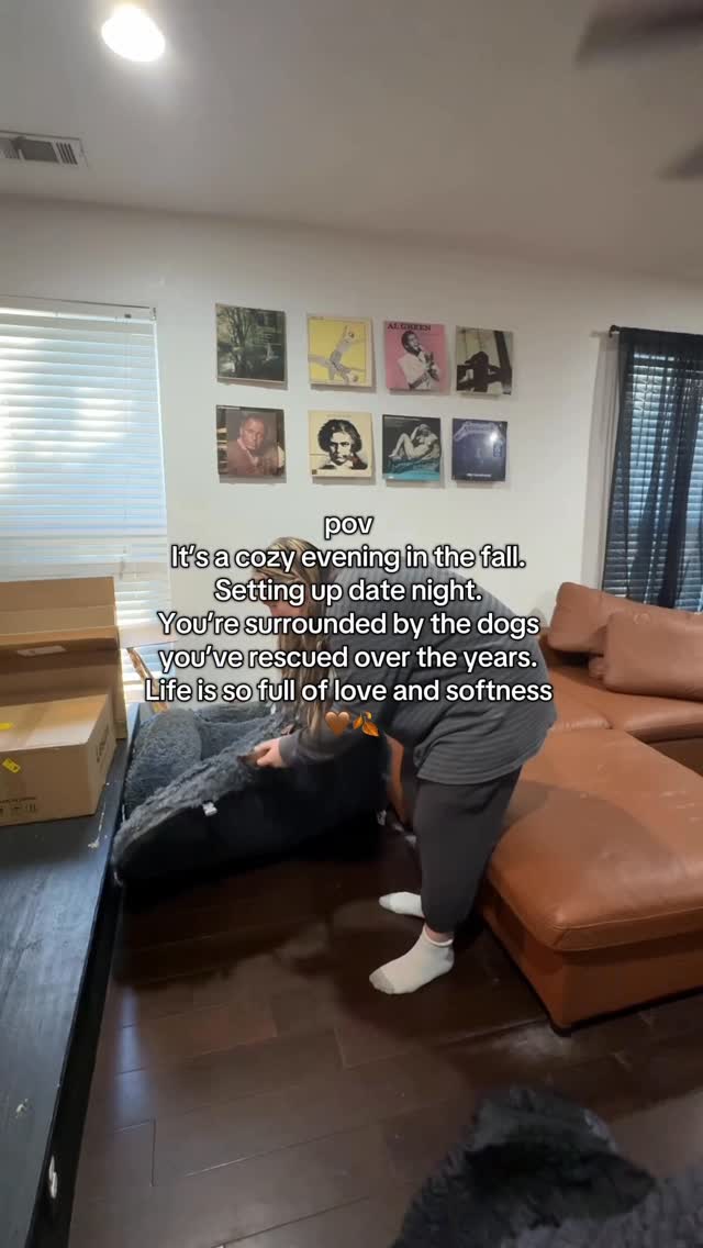 Instagram post by @mythologicaldogs for Lesure Pet. Caption reads: My dream cozy fall night thanks to @lesurepet 😩😩....