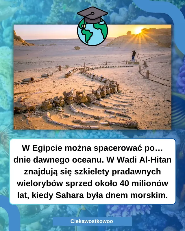 Instagram post by @ciekawostkowoo for Wakacje.pl. Caption reads: [...] zarezerwuj swój urlop na wakacje.pl! ☀️....