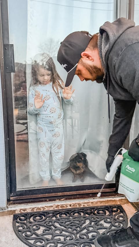 Instagram post by @haleymartinoxo for Pestie. Caption reads: @pestie is my fave home hack 🕷️🐜 #ad Pest [...].