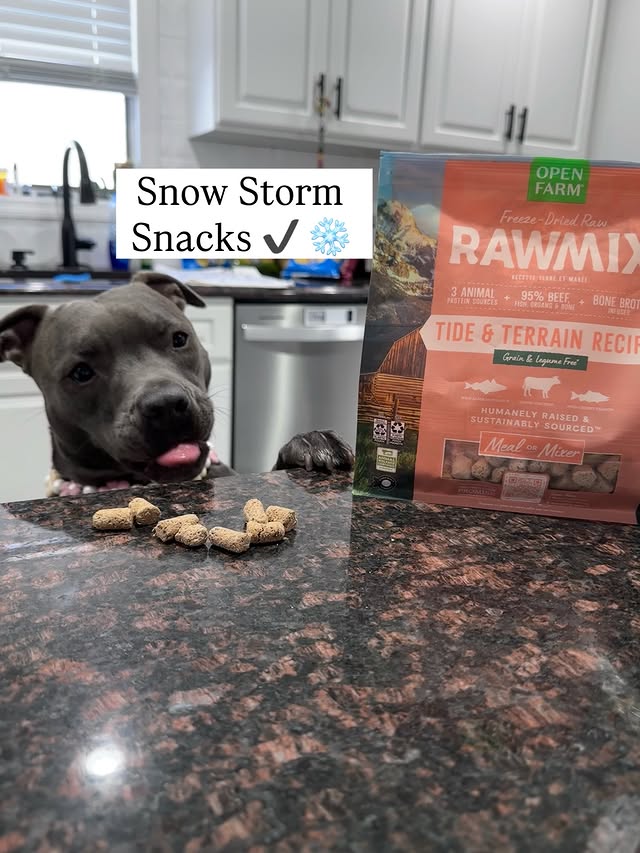 Instagram post by an influencer for Open Farm Pet. Caption reads: [...] especially if they are @openfarmpet Freeze....
