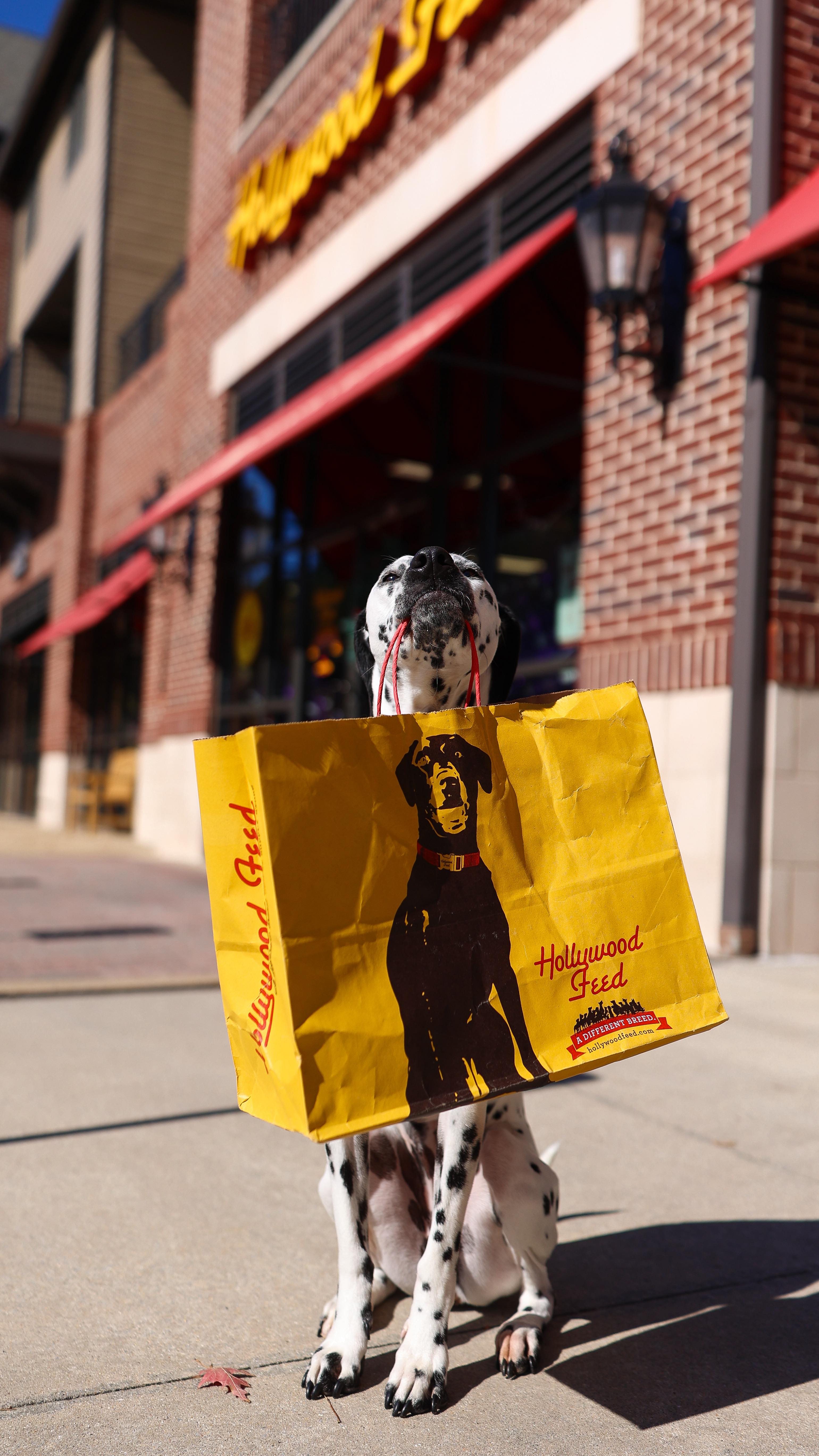 Instagram post by @mywildmeadows for Wuffes. Caption reads: [...] everyone’s been talking about 👀 @wuffes is....