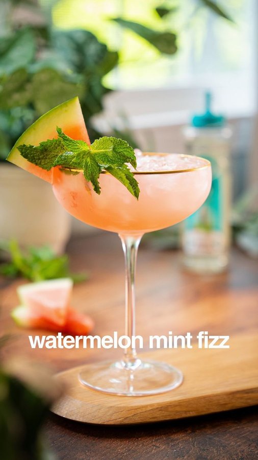 Instagram post by @itscocktailhour_ for Master of Mixes. Caption reads: Watermelon and mint is such an under appreciated....