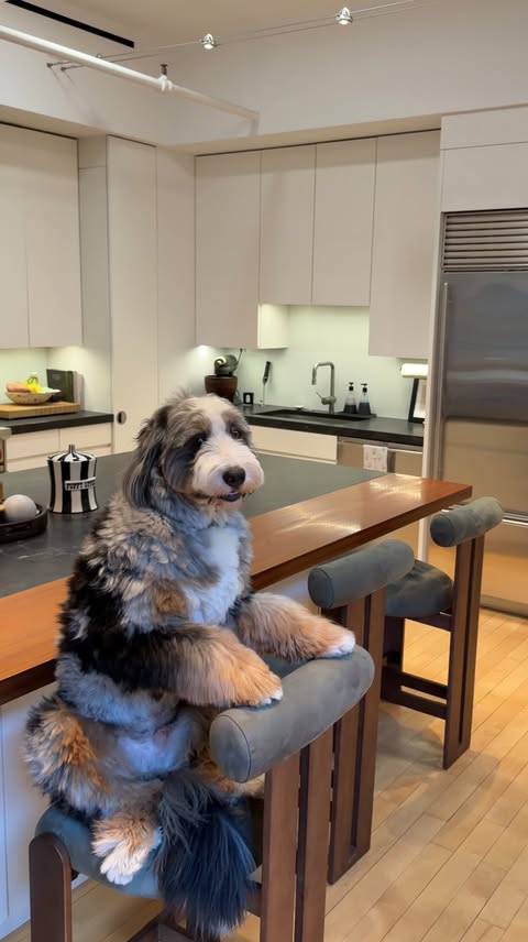 Instagram post by @trufflecosta for Apartments. Caption reads: [...] never want to leave the rooftop.....