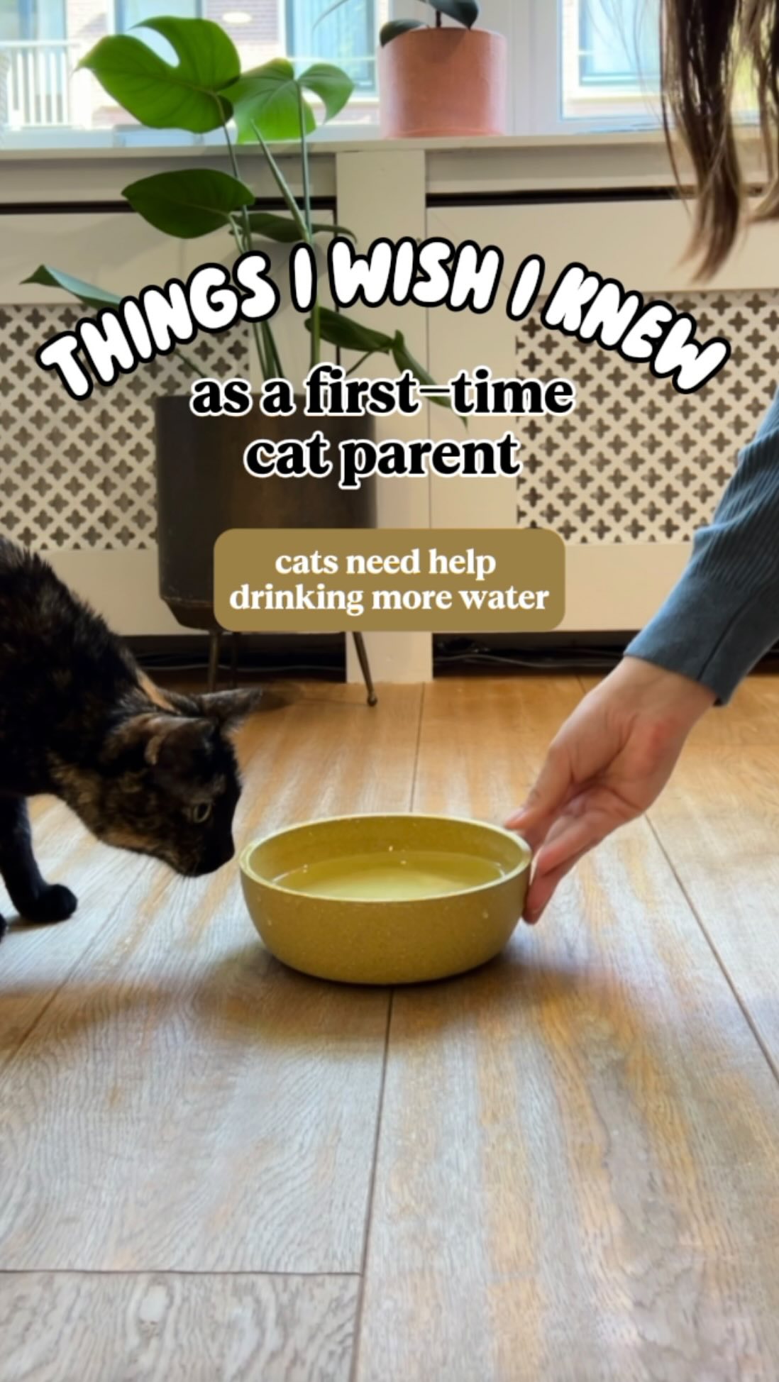 Instagram post by @housepluscat for Enabot. Caption reads: [...] 😊

Getting this smart fountain from....