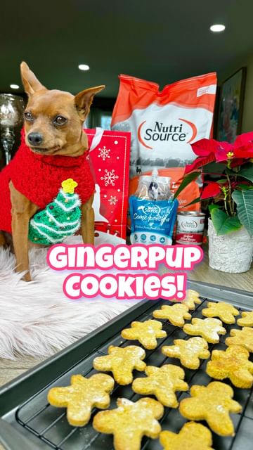 Instagram post by @piperthepin for NutriSource Pet Foods. Caption reads: Let’s kickstart the holiday with a yummy 6....