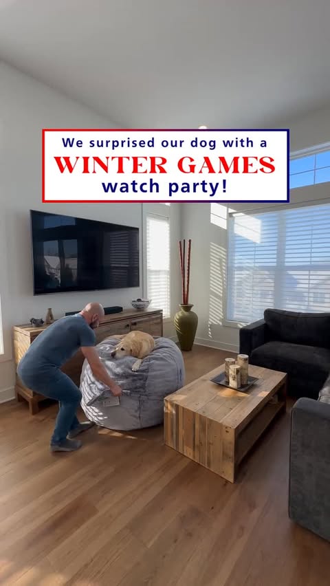 Instagram post by @magnusthetherapydog for Lovesac. Caption reads: [...] Winter Games watch party just for you.....
