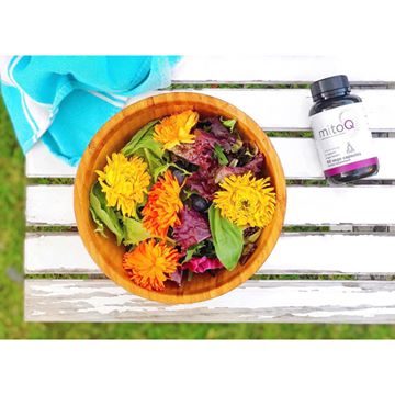 Instagram post by @eatcute for MitoQ. Caption reads: 𝑴𝒚 𝑾𝒐𝒓𝒌𝒐𝒖𝒕 𝒘𝒊𝒕𝒉 𝒂 𝑪𝒆𝒍𝒆𝒃𝒓𝒊𝒕𝒚....