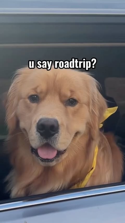 Instagram post by @thegoldenboy_bowie for Hertz. Caption reads: On the road with the @hertz Gold Squad 🚗 headed....