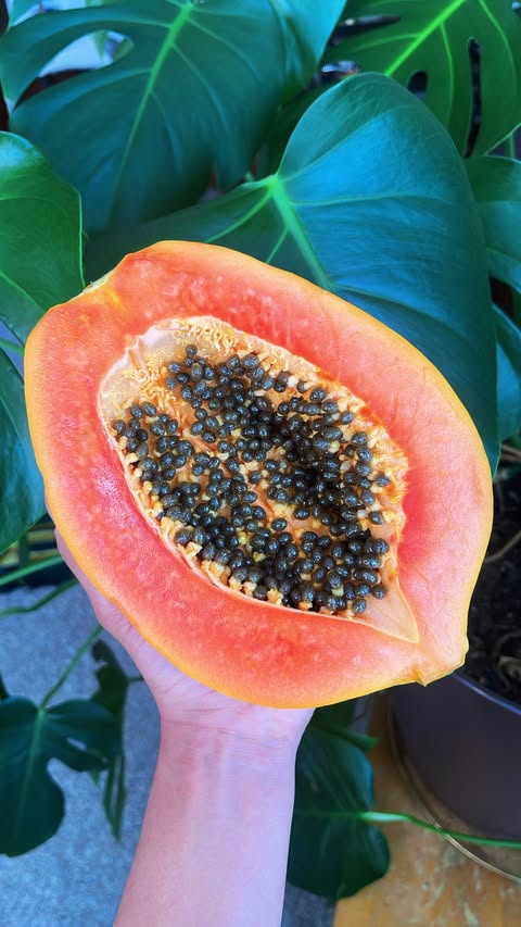 Instagram post by @noonabu for Almond Cow. Caption reads: everything I’m drinking throughout the week to say....