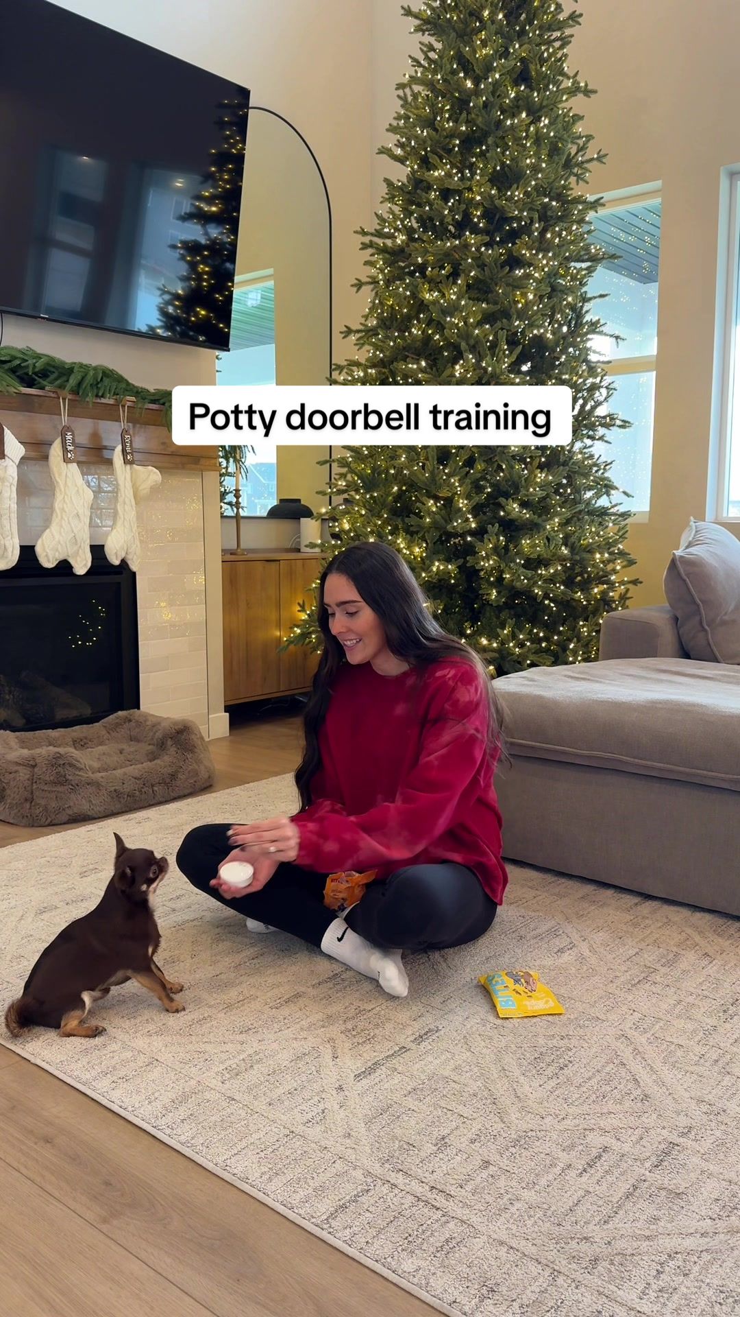 TikTok post by @thestadlerfam for PetSmart. Caption reads: #EdgardCooperPartner Potty training became so much....