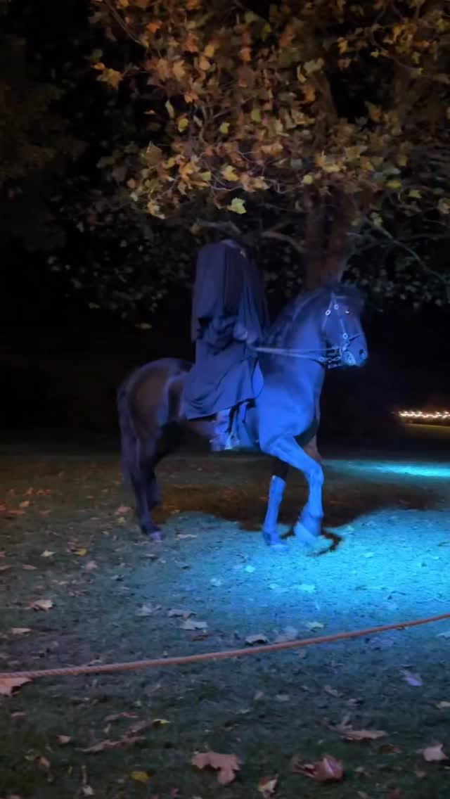 Instagram post by @mumminit.winginit.lovinit for Sony Music. Caption reads: [...] such an amazing evening @rglivetickets....