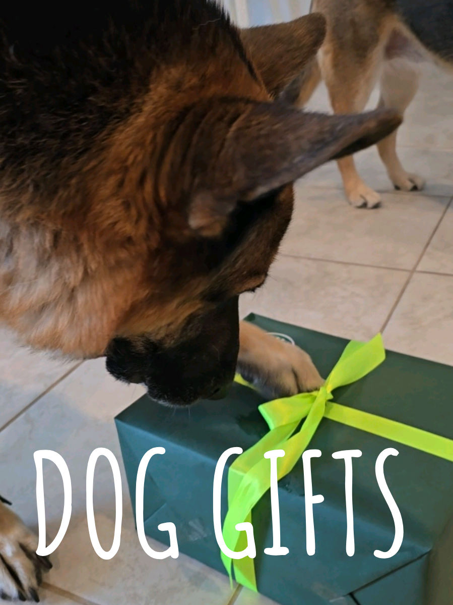 TikTok post by @barkinwiththebryants for Benebone. Caption reads: [...] Mom Approved ✅️ Santa Approved 🎅✅️....