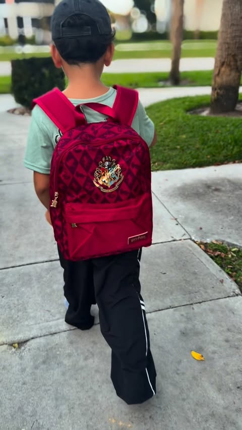 Instagram post by @americagaleri for Harry Potter. Caption reads: Your Spring Era Starts with “Harry Potter” on....
