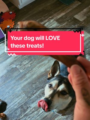 TikTok post by @pointy_eared_pups for All American Canine. Caption reads: These duck heads from @ALL AMERICAN CANINE CO.....