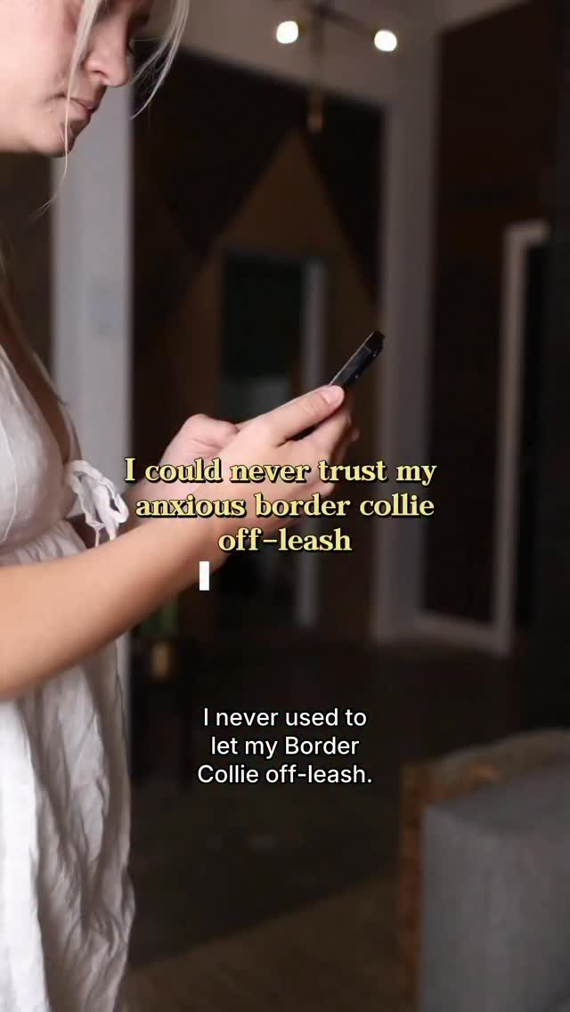 Instagram post by @curedbydogs for Halo Collar. Caption reads: As an anxious girl, with an anxious dog.......