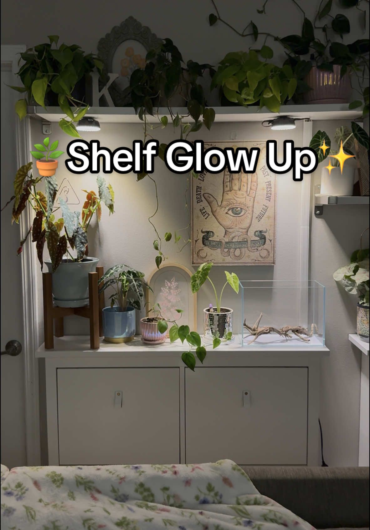 TikTok post by @sammyscapes for Barrina. Caption reads: [...] lights I've tried over the years, the....